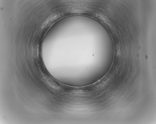 X0000060270685200511112047