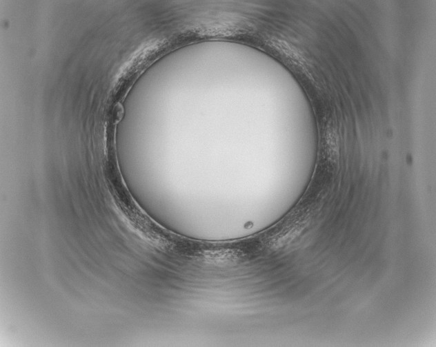 X0000060270686200511112047