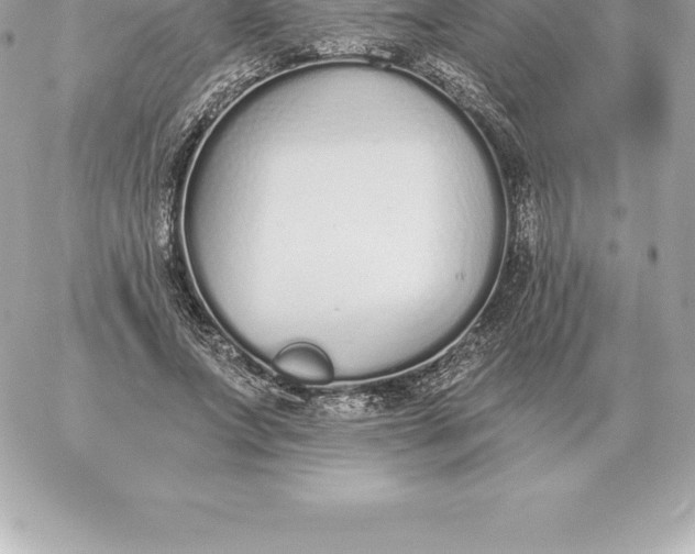 X0000060270687200511112047