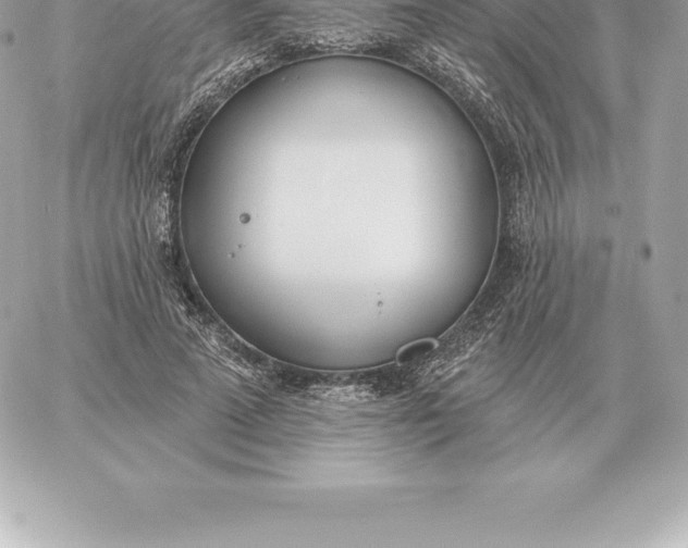 X0000060270689200511112047