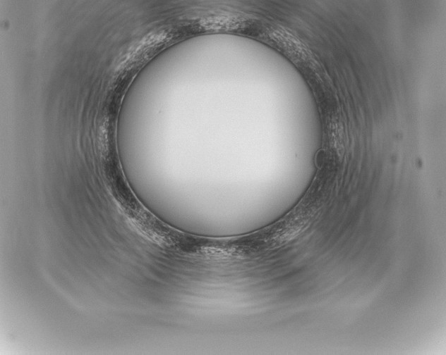 X0000060270690200511112047