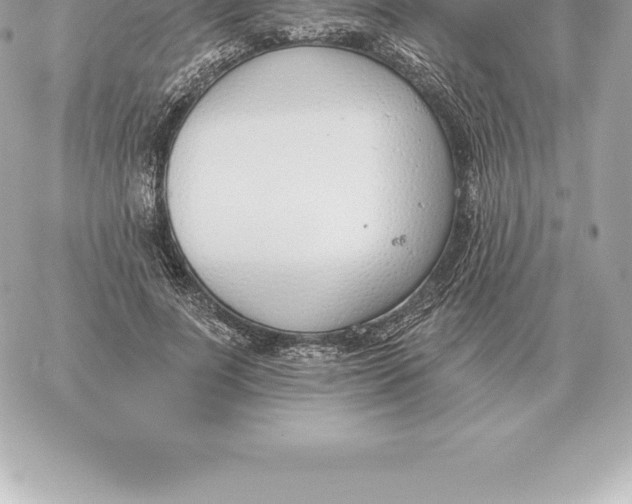 X0000060270691200511112047