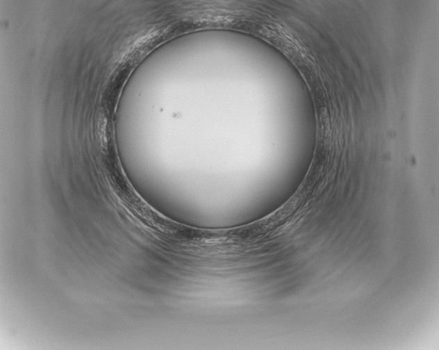 X0000060270692200511112047