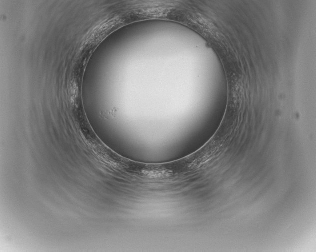 X0000060270693200511112047