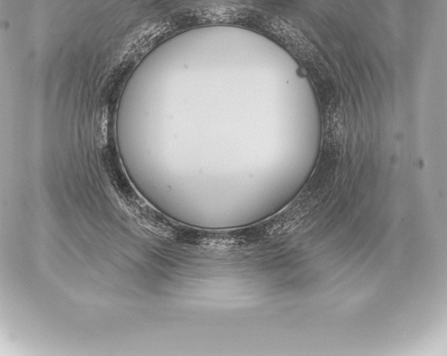 X0000060270694200511112047