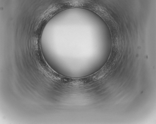 X0000060270696200511112047