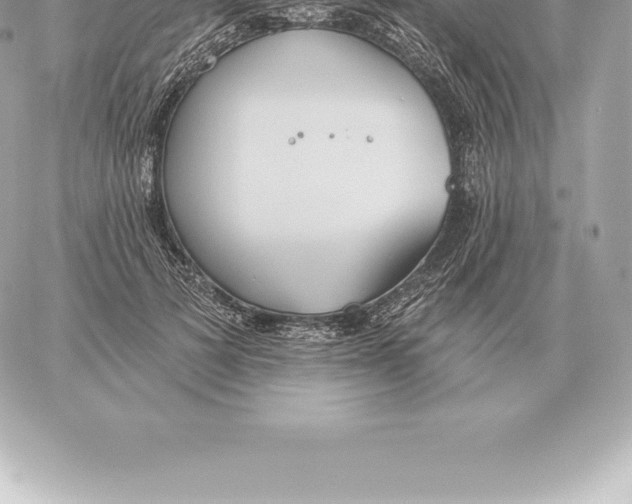 X0000060270697200511112047