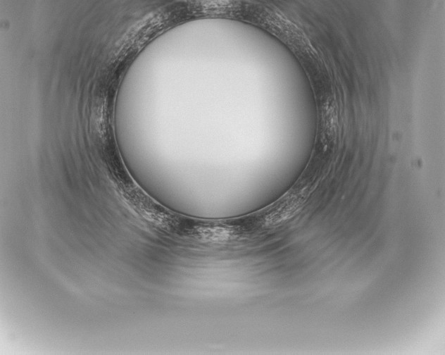 X0000060270698200511112047