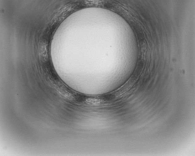 X0000060270699200511112047