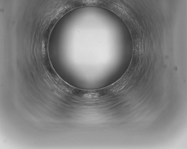 X0000060270700200511112047