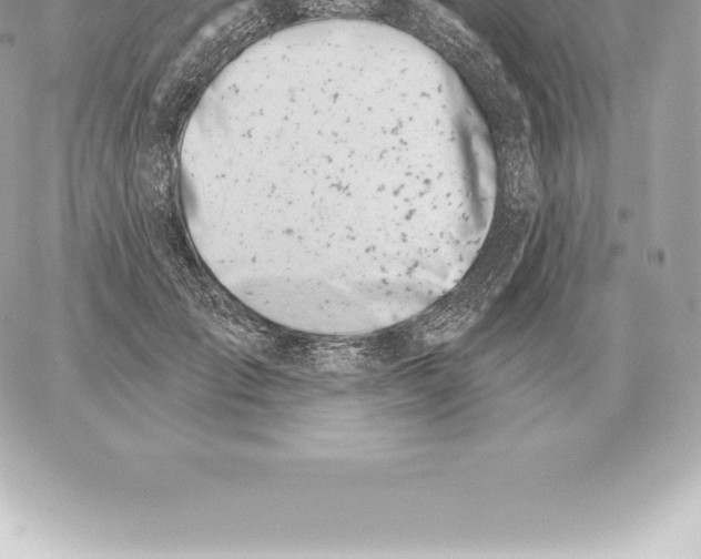 X0000060270701200511112047