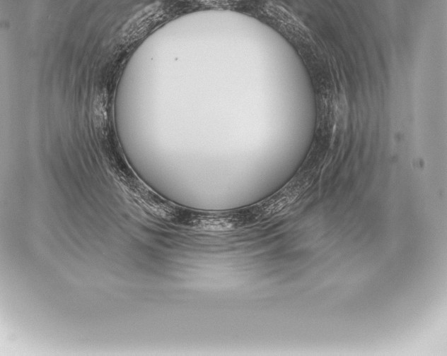 X0000060270702200511112047