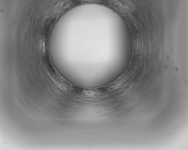 X0000060270703200511112047