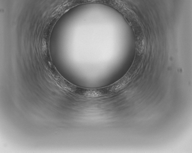 X0000060270704200511112047