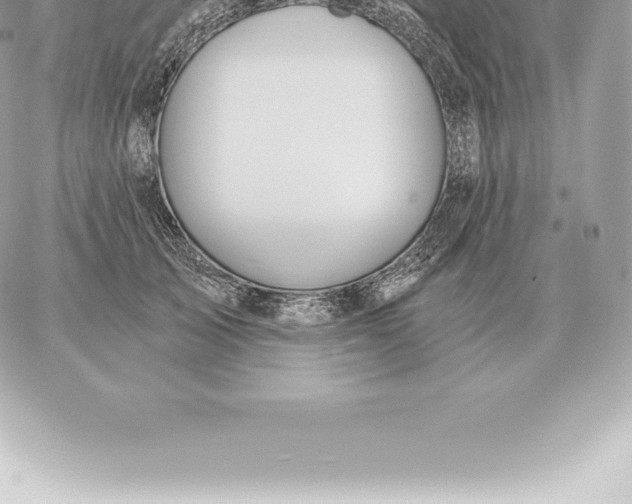 X0000060270705200511112047