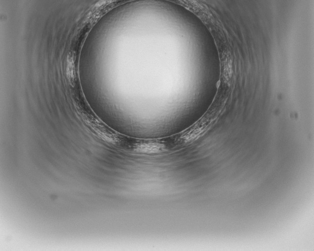 X0000060270708200511112047