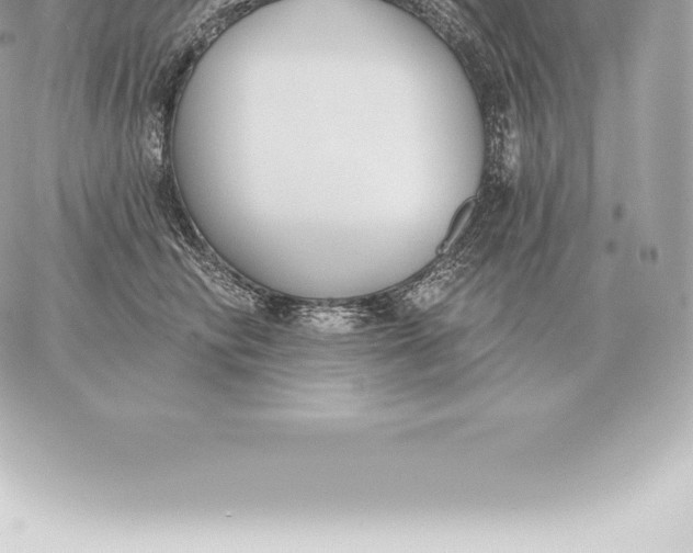 X0000060270710200511112047