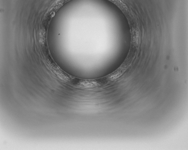 X0000060270712200511112047