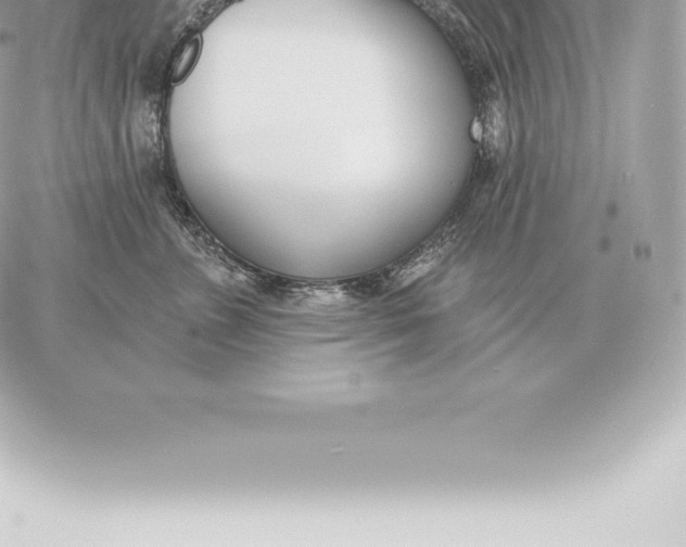 X0000060270715200511112047