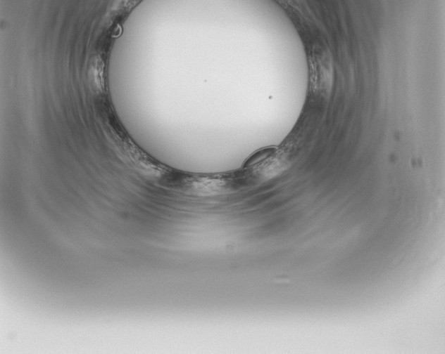 X0000060270718200511112047