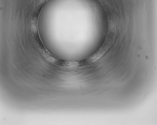 X0000060270719200511112047