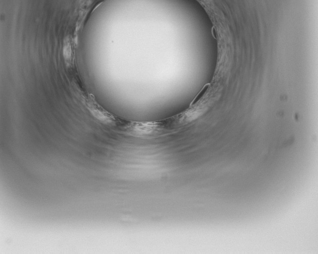 X0000060270720200511112047