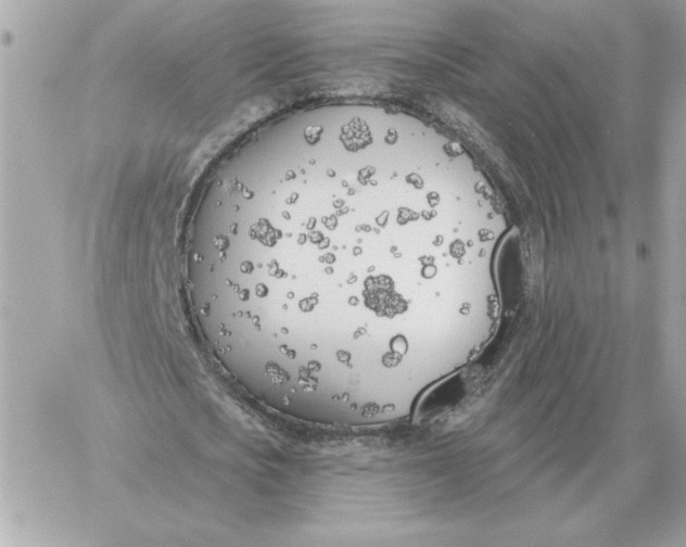 X0000060270721200511112046