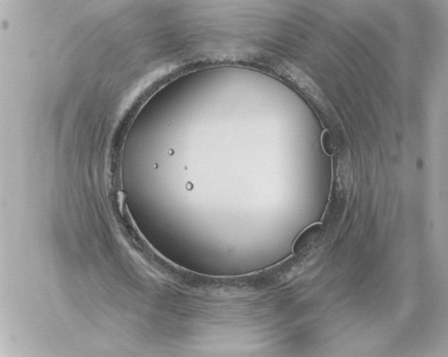 X0000060270722200511112046