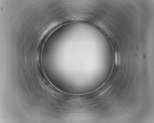 X0000060270723200511112046