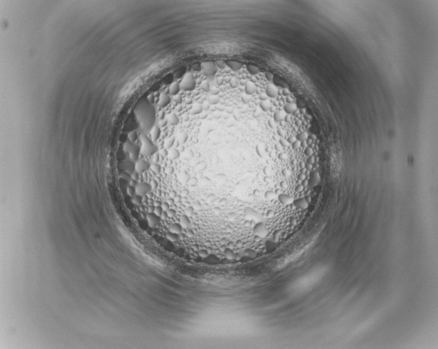 X0000060270725200511112046