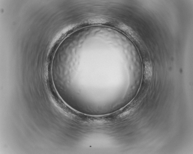 X0000060270726200511112046