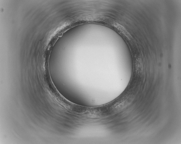 X0000060270727200511112046