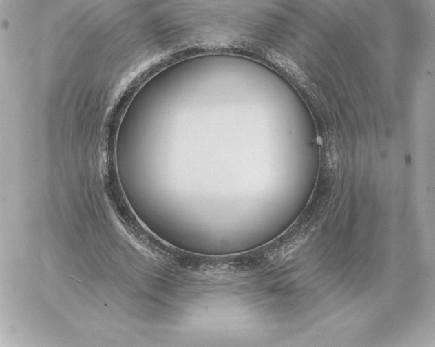 X0000060270728200511112046