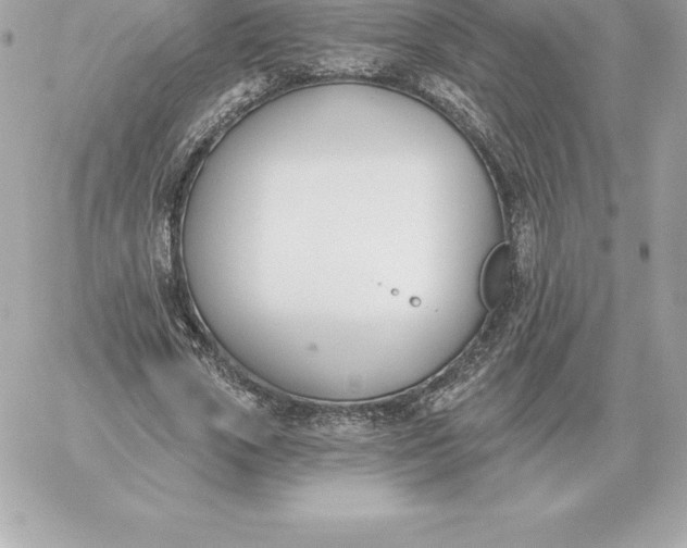 X0000060270729200511112046