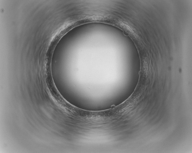 X0000060270730200511112046