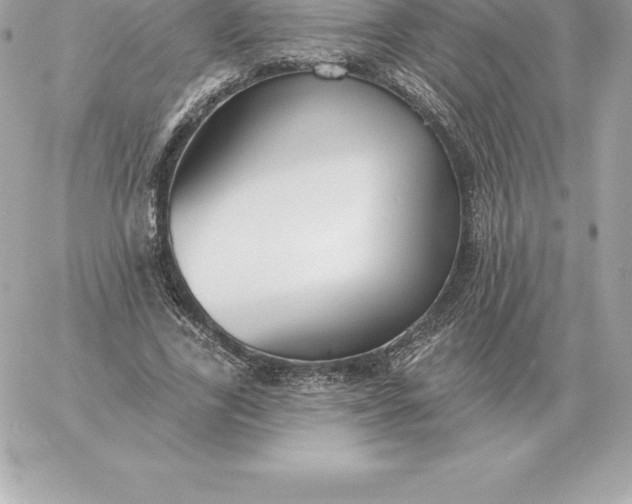 X0000060270731200511112046