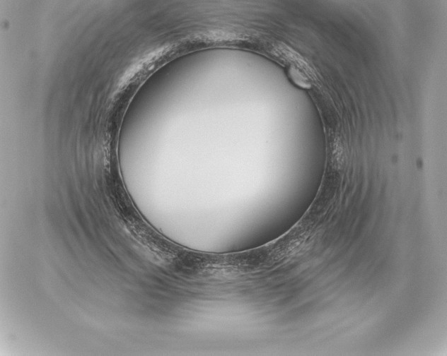 X0000060270732200511112046