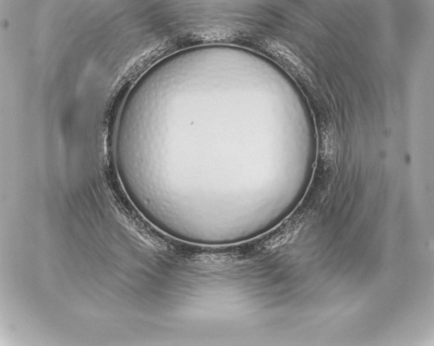 X0000060270733200511112046