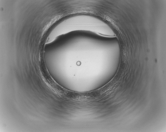 X0000060270734200511112046