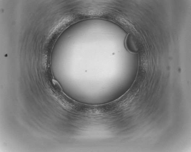 X0000060270735200511112046