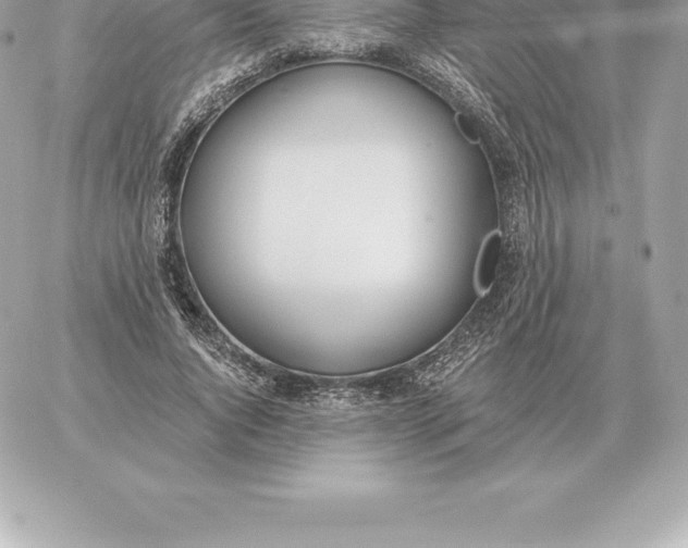 X0000060270736200511112046