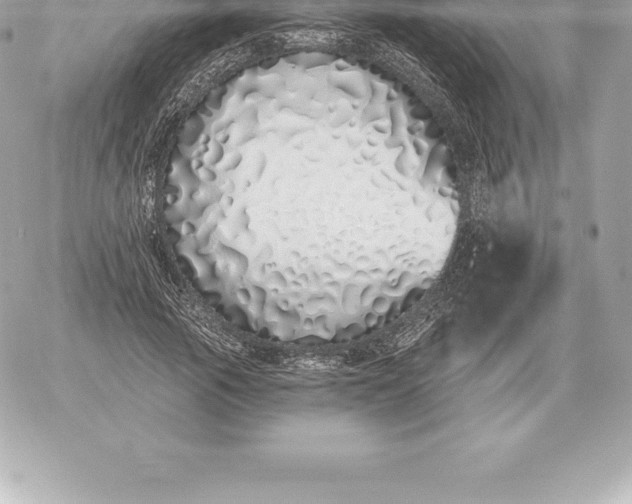 X0000060270737200511112046