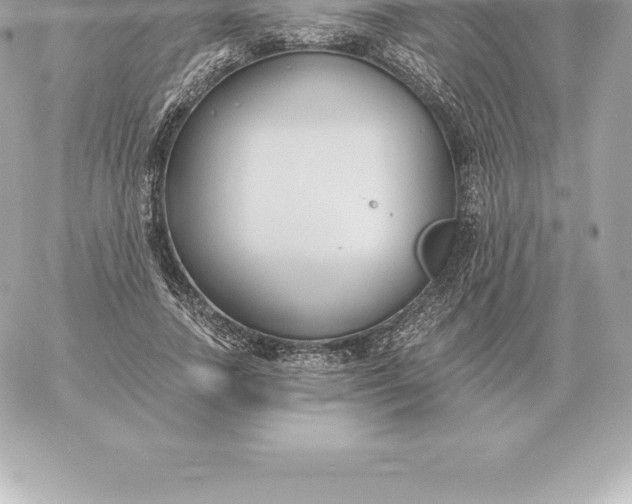 X0000060270738200511112046