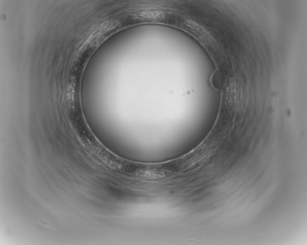 X0000060270739200511112046