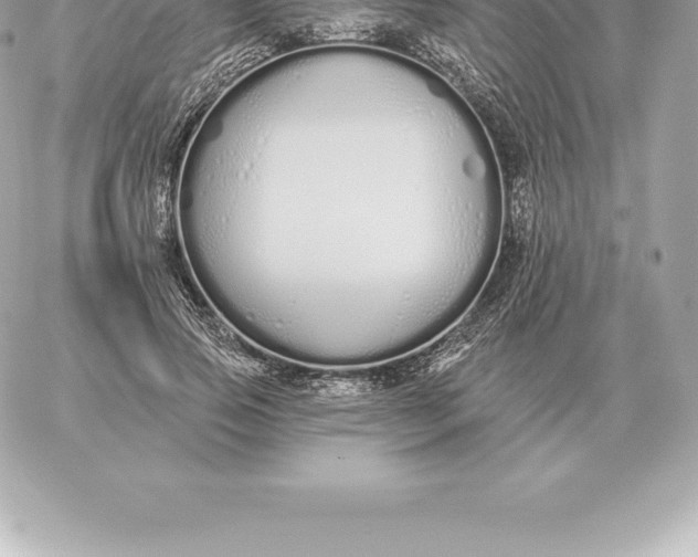 X0000060270741200511112046