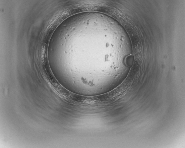 X0000060270742200511112046