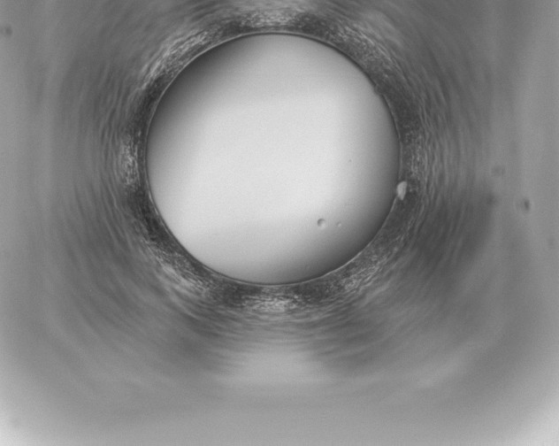 X0000060270743200511112046