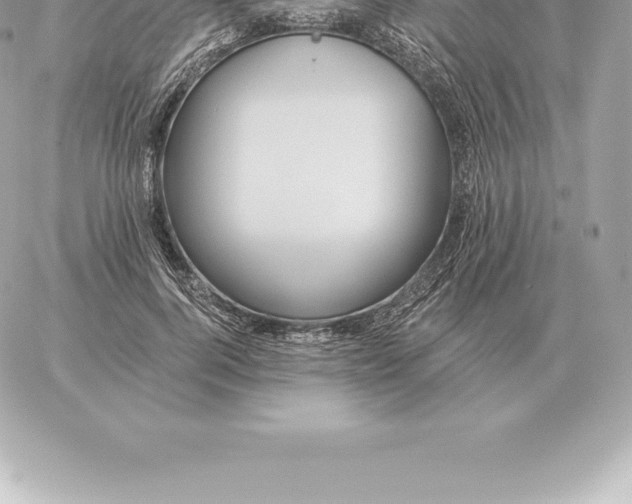 X0000060270744200511112046