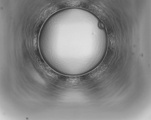 X0000060270745200511112046