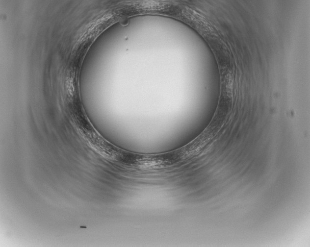 X0000060270746200511112046